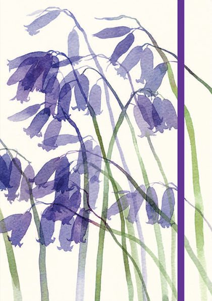 Bluebell Notebook
